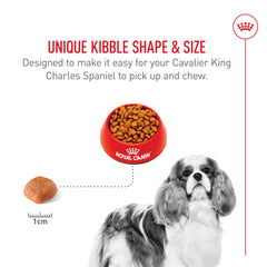 Royal Canin Cavalier small-breed formula designed for balanced daily meals.