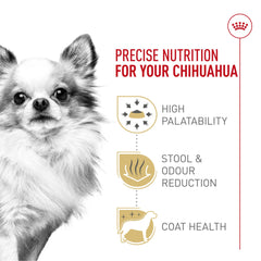 Serving bowl with Royal Canin Chihuahua Adult kibble for small dogs