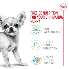 Royal Canin Chihuahua Puppy kibble close-up highlighting digestibility