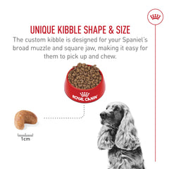Royal Canin Cocker Spaniel heart symbol highlights taurine and fish-oil nutrients supporting heart health.