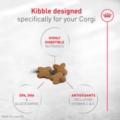 Kibble close-up designed for easy chewing and digestion for Corgi puppies.