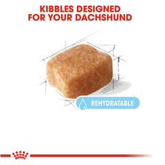 Royal Canin Dachshund senior kibble closeup, tailored texture for aging teeth.