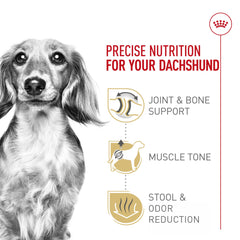 Royal Canin Dachshund Adult kibble emphasizes bone and joint support for small dogs.