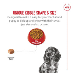 Royal Canin Dachshund Puppy calcium and phosphorus for bones.