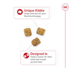 Royal Canin Dachshund Puppy kibble shape designed for tiny jaws.
