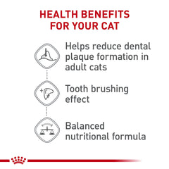 Kibble in a bowl demonstrates balanced nutrition for adults with dental care.
