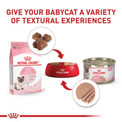 Royal Canin DHA-brain development mousse supports brain growth in kittens
