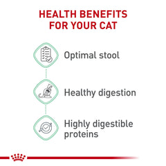 Royal Canin Digestive Care dry cat food 3 lb bag on display.