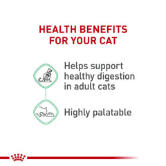 Royal Canin Digestive Care Dry Cat Food bag pairs with wet meals