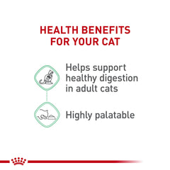Cat happily eats Royal Canin Digestive Care wet food in a bowl promoting easy digestion.