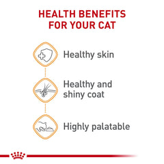 Royal Canin dry and wet meal mix option shown beside kibble