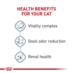 Royal Canin Feline Health Indoor 7+ bowl highlights soft kibble for gentle chewing.