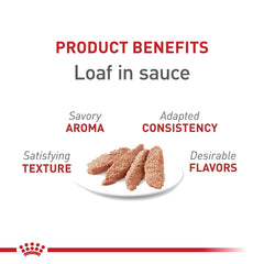 Royal Canin Feline Health Instinctive Loaf in Sauce close-up shows moist loaf texture.