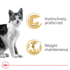 Serving bowl of Royal Canin Instinctive Thin Slices in Gravy, appealing texture for picky eaters