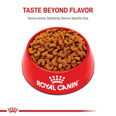Royal Canin French Bulldog Puppy kibble curved shape supports easy chewing.