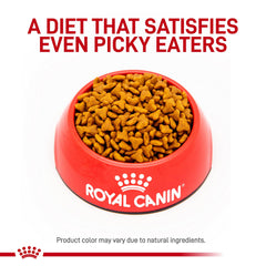 Royal Canin Gastrointestinal Fiber Response kibble close-up emphasizing psyllium content