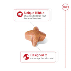 Kibble closeup shows shape designed for a long-muzzled German Shepherd.