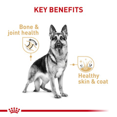 Royal Canin German Shepherd Adult Loaf in Sauce can, showing breed-focused nutrition packaging.