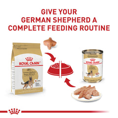 Royal Canin German Shepherd Adult Loaf in Sauce serving bowl, appetizing texture for large breed dogs.