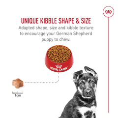 Royal Canin GS Puppy kibble demonstrates digestive health through digestible protein
