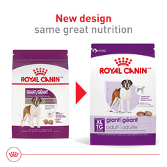 Royal Canin giant-breed dry kibble close-up showing crunchy texture and palatability.