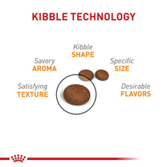 Royal Canin Hair and Skin Care kibble close-up showing texture and quality