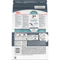 Royal Canin Hairball Care kibble in a bowl for digestion-friendly mealtime