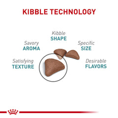 Royal Canin Hairball Care dry kibble closeup highlighting textured morsels for digestion