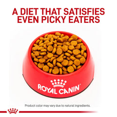 Royal Canin HP hydrolyzed protein diet bowl aiding digestion