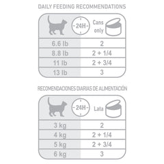 Royal Canin Indoor Morsels in Gravy bowl presentation showing tender pieces in gravy