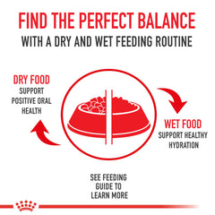 A bowl of 7+ Instinctive slices in gravy for indoor seniors.