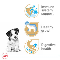 Royal Canin Jack Russell Terrier Puppy feeding bowl with food, highlighting daily mealtimes.