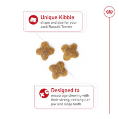 ROYAL CANIN Jack Russell Terrier small-breed meal supports compact bites.