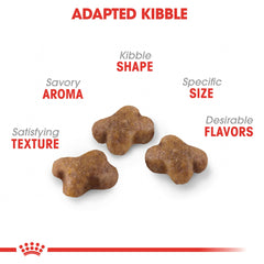 Royal Canin kitten digestive-support kibble close-up, promoting easy digestion.