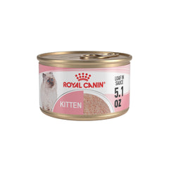 Royal Canin Kitten Loaf in Sauce served in a bowl to entice mealtime.