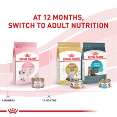 Royal Canin Kitten Loaf in Sauce close-up reveals tender texture preferred by kittens.