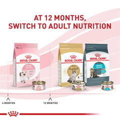 Royal Canin kitten serving cup illustrates convenient portions for mealtimes.