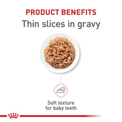 Royal Canin Kitten Thin Slices in Gravy closeup highlights tender texture for teething kittens.