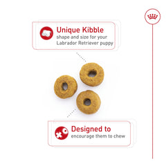 Royal Canin Labrador Puppy serving scoop with kibble