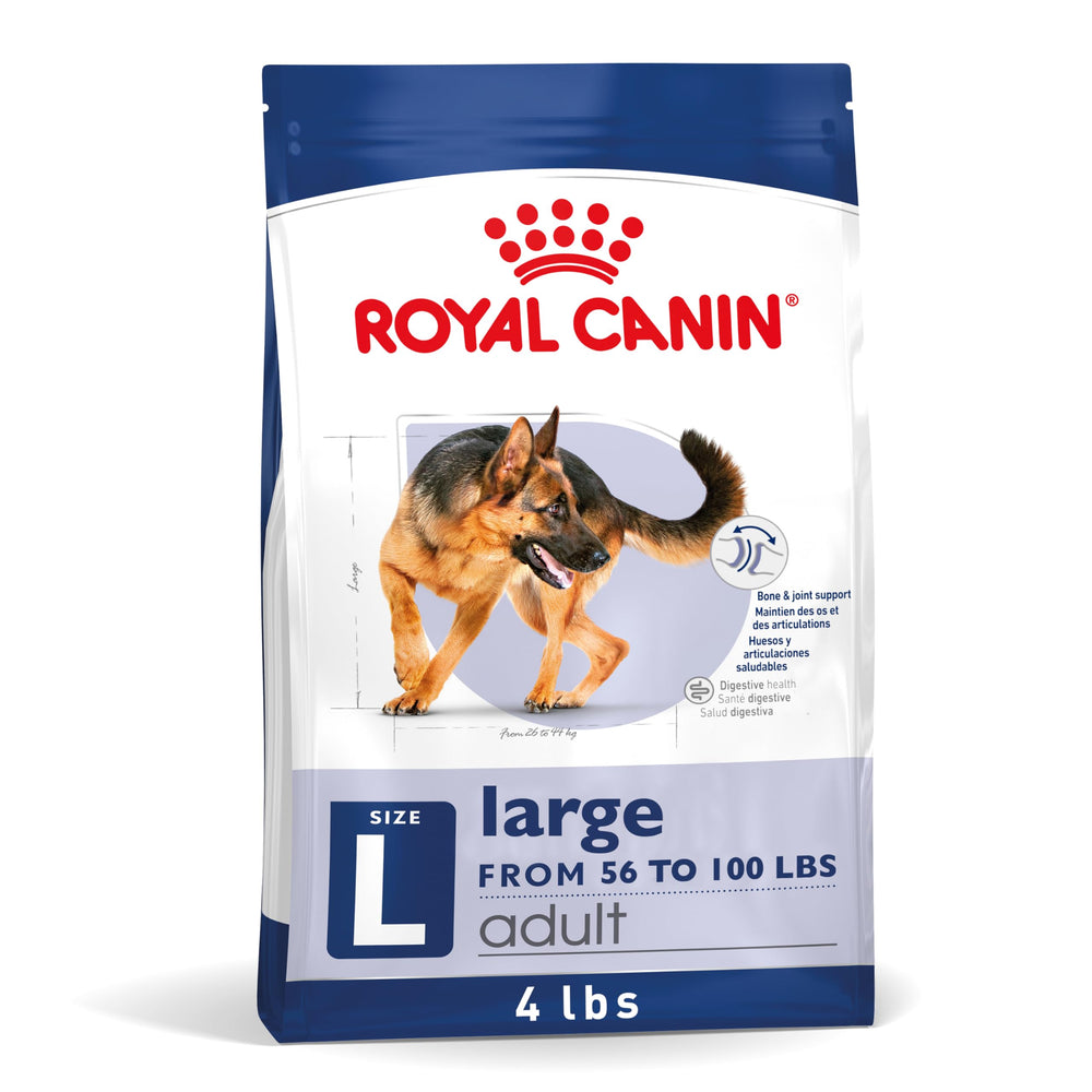 Royal Canin large-breed kibble in a bowl showcasing palatability for big dogs.