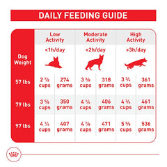 Royal Canin Large Breed kibble in a bowl, highly palatable.