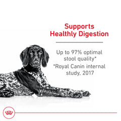 Royal Canin Large Digestive Care kibble close-up highlights highly digestible protein sources.
