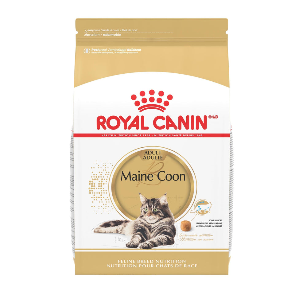 Royal Canin Maine Coon adult dry food bag front showing breed-specific nutrition