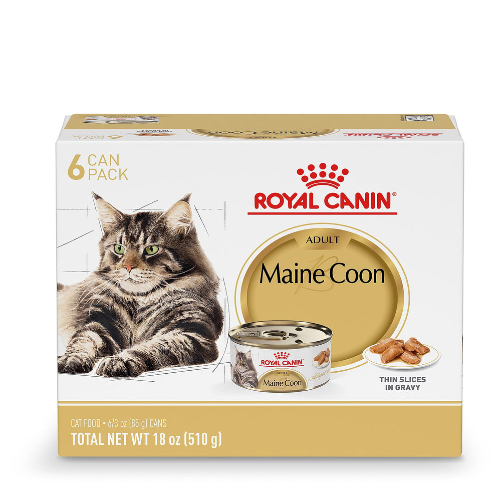 Royal Canin Maine Coon adult wet food in gravy holding a balanced meal