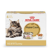 Royal Canin Maine Coon adult wet food in gravy holding a balanced meal