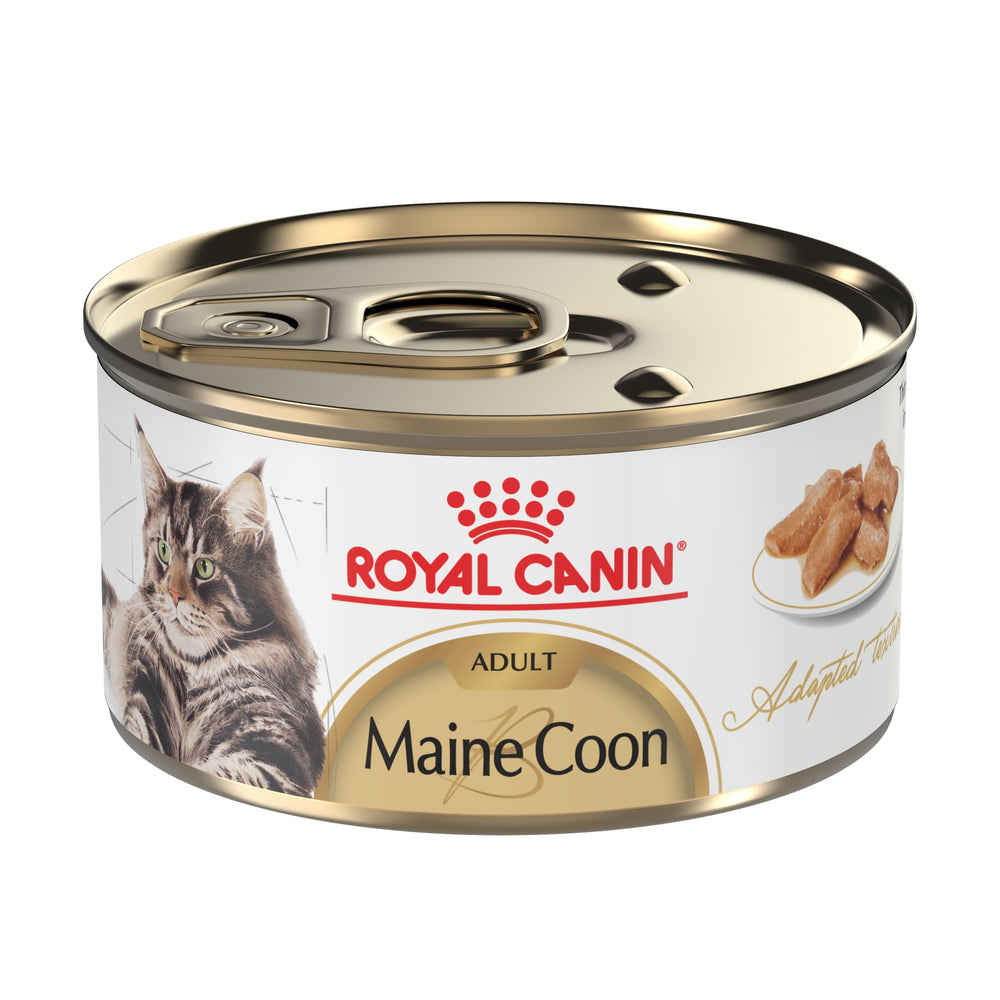 Royal Canin Maine Coon wet gravy slices close-up, appealing texture for picky eaters.