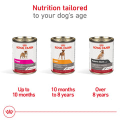 Royal Canin Mature Gel texture detail showcases loaf-like palatability for seniors