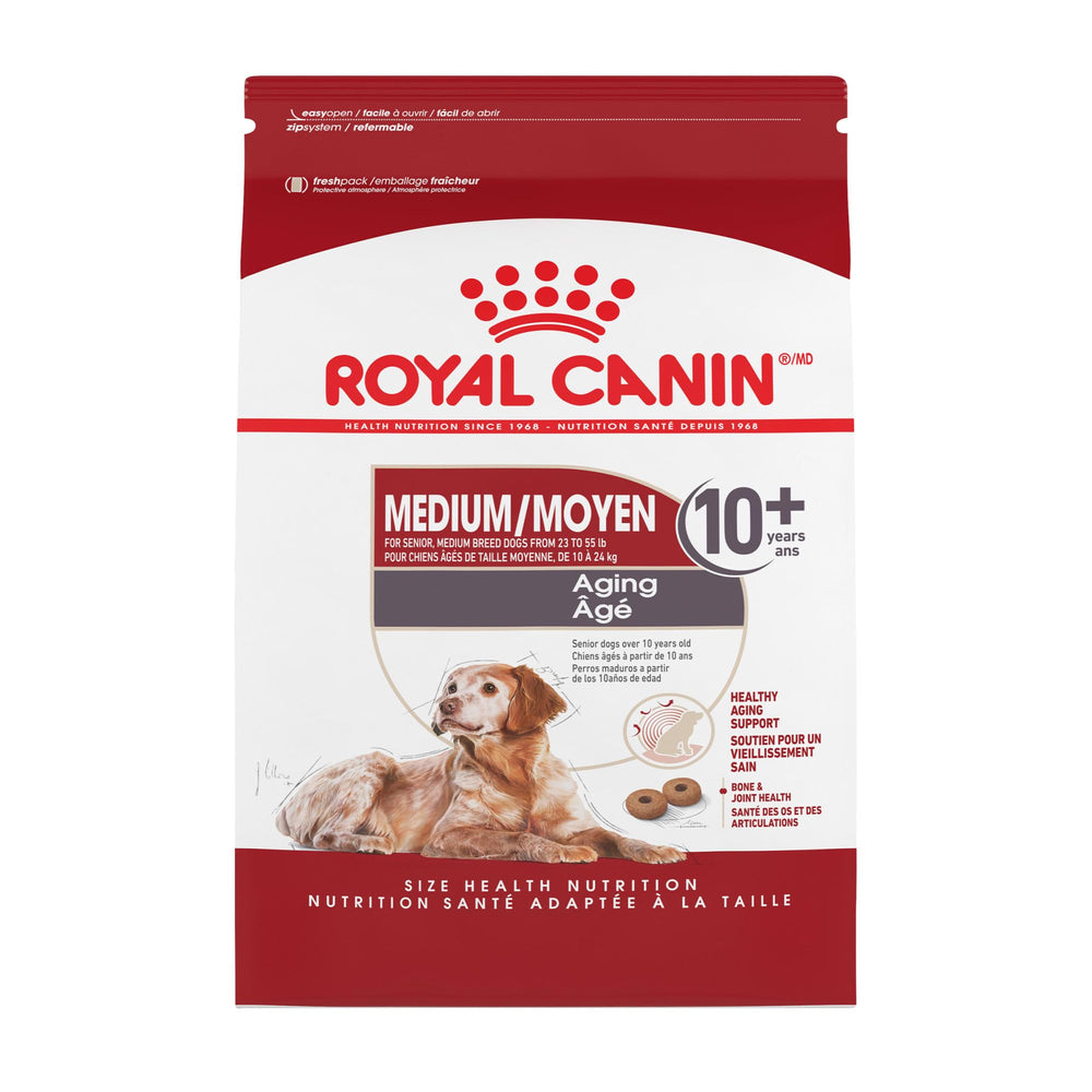 Royal Canin Medium Aging 10+ dry dog food bag for senior nutrition.