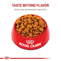 Royal Canin Medium Digestive Care bag closeup highlights nutrition for digestion.