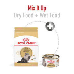 Royal Canin Persian kibble texture close-up showing specialized shape.